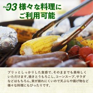 とうもろこし 真空パック 4本 レトルト 清水...の詳細画像3