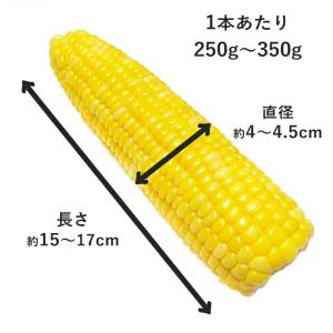 とうもろこし 真空パック 4本 レトルト 清水...の詳細画像4