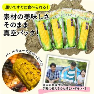 とうもろこし 真空パック 4本 レトルト 清水...の詳細画像5