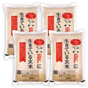 生きている玄米 20kg(5kgx4) 令和3年産 玄米
