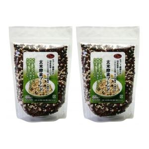 玄米酵素ブレンド1kg セット(500g x2...の詳細画像2