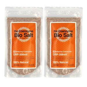 リコエンザイムソルト ビオソルト 詰替用（あら粒タイプ） : 暖の郷