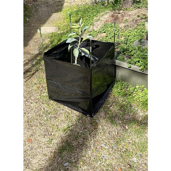 [ワイド ブラック 200枚] あんどんカバー (ワイド) 50cm×80cm 野菜の苗・果樹の苗木...