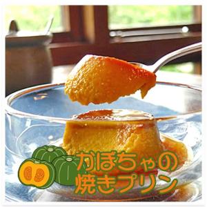 かぼちゃの手作り焼きプリン 6個/箱 − どん・るーかす（※プリン以外との同時購入不可）（144-B1501）