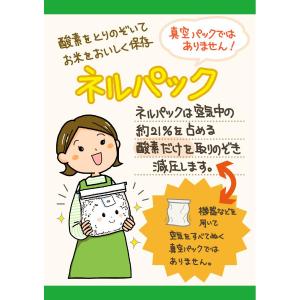 [5個セット] ネルパック 10kg用 お米保...の詳細画像4