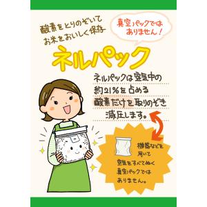 米保存袋 ネルパックIII 30kg用 1セッ...の詳細画像4