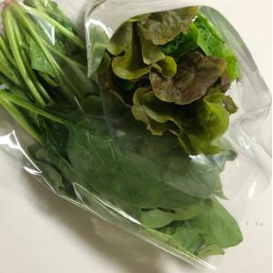葉物野菜の袋詰め補助具 野菜がつるりん whi...の詳細画像3