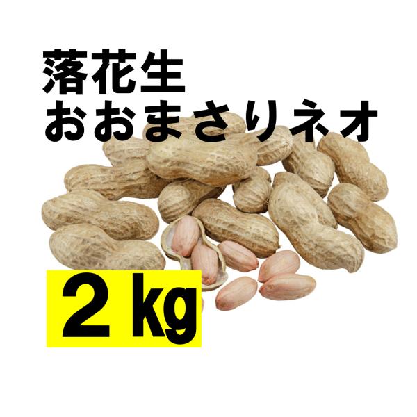 【地域限定送料無料】落花生・おおまさりネオ　殻付き 2kg（約800粒）