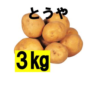 【地域限定送料無料】ジャガイモ　とうや　3kg　種芋　馬鈴薯 　