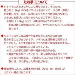 じゃがいも 男爵 だんしゃく 種芋 500g ...の詳細画像1