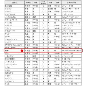 じゃがいも 男爵 だんしゃく 種芋 500g ...の詳細画像4
