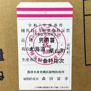 じゃがいも 男爵 だんしゃく 種芋 500g ...の詳細画像5
