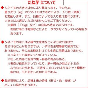 じゃがいも メークイン 種芋 500g ジャガ...の詳細画像1