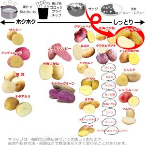 じゃがいも メークイン 種芋 500g ジャガ...の詳細画像3