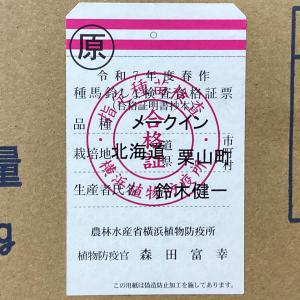 じゃがいも メークイン 種芋 500g ジャガ...の詳細画像5