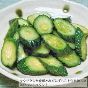 実生 きゅうり シャキット 胡瓜 9cmポット...の詳細画像2