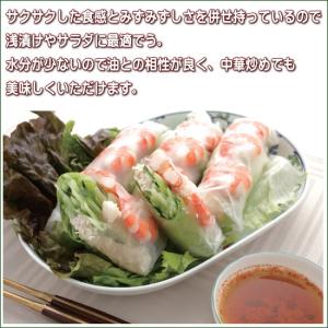 実生 きゅうり シャキット 胡瓜 9cmポット...の詳細画像3