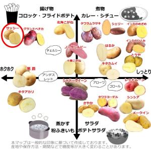 じゃがいも サッシー 種芋 500g ジャガイ...の詳細画像4