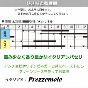 イタリアン パセリ【 ヴィットリア 】9cmポ...の詳細画像3