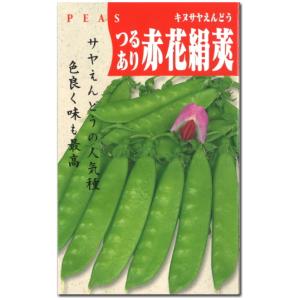 えんどう サヤえんどう - e-種や｜国内最大級の野菜種・花種・苗・農業