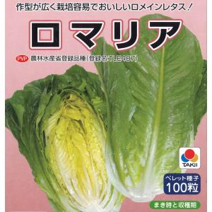 ロメインレタス 種の商品一覧 通販 Yahoo ショッピング