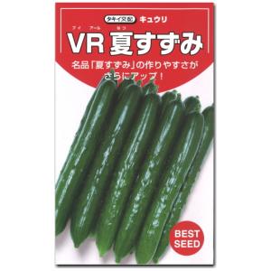 キュウリ 胡瓜 種子 ＶＲ夏すずみ 夏秋 きゅうり 13粒