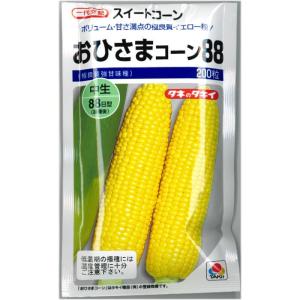 トウモロコシ 種子 スイートコーン おおもの83 2000粒 とうもろこし