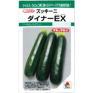 ズッキーニ 種子 ダイナー EX 10粒の詳細画像2