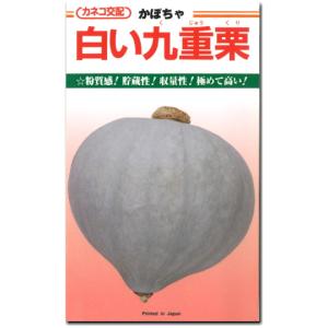 カボチャ 南瓜 種子 白い九重栗 9粒 かぼちゃ｜naeyanohaba