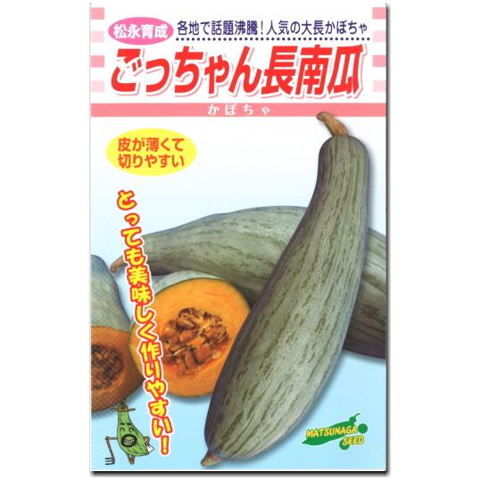 カボチャ 種子 ごっちゃん長 10粒 南瓜 かぼちゃ