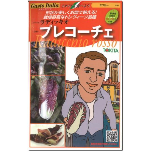 チコリー 種子 プレコーチェ ラディッキオ 80粒