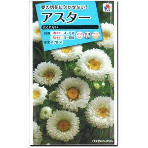 アスター 種子 白くれない 1ml（育苗可能本数：およそ100本)