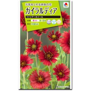 百日草（ジニア）・カクタス咲 混合 2.5ml（育苗可能本数：およそ25本