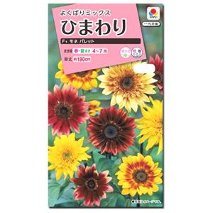 百日草（ジニア）・カクタス咲 混合 2.5ml（育苗可能本数：およそ25本