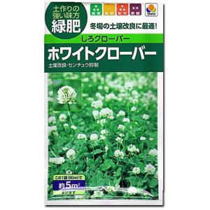 しろクローバー 種子 タキイ種苗 ホワイトクローバー　（およそ5ｍ2分) 60ml シロツメクサ