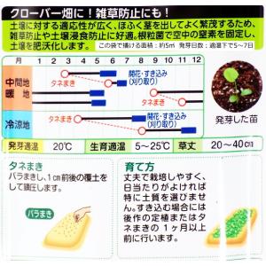 しろクローバー 種子 タキイ種苗 ホワイトクロ...の詳細画像1