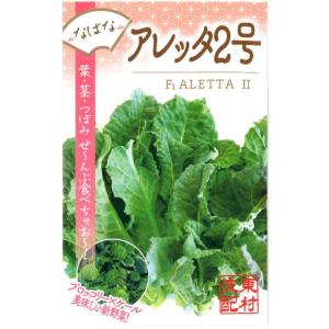 なばな 種子 アレッタ 2早生 90粒