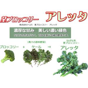 なばな 種子 アレッタ 2早生 90粒の詳細画像3