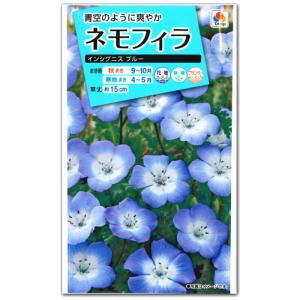 ネモフィラ 種子 インシグニスブルー 1ml（育苗可能本数：およそ150本)