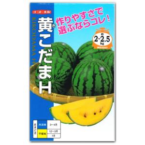 SK9-099 ブロッコリー種子 ペレット5000粒 【野菜種子】【サカタのタネ