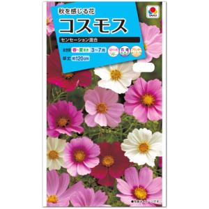 コスモス 種子 タキイ交配 センセーション混合 2ml