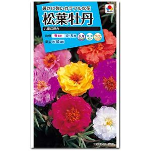 マツバボタン 種子 八重咲き混合 （育苗可能本数：およそ500本) 0.2ml 松葉牡丹