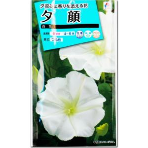 夕顔 種子 白花 4ml（育苗可能本数：およそ5本)