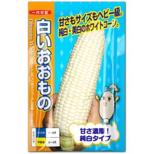 トウモロコシ 種子 スイートコーン おおもの83 2000粒 とうもろこし