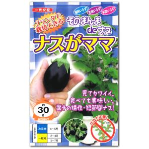 アーリーファイブ 1000粒 オクラ種子【野菜種子】【タキイ種苗