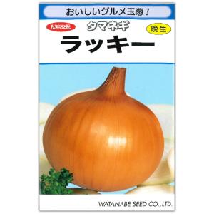 タマネギ 種子 ラッキー 3ml 玉ねぎ