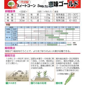 トウモロコシ 種子 スイートコーン 恵味ゴール...の詳細画像2