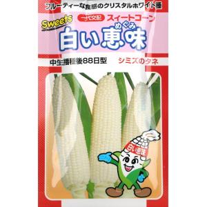 トウモロコシ 種子 スイートコーン おおもの83 2000粒 とうもろこし