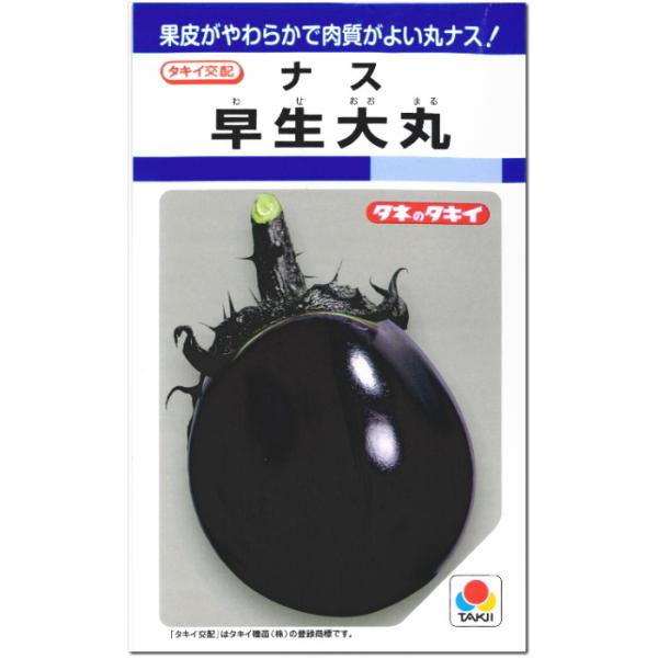 ナス 種子 早生大丸 80粒
