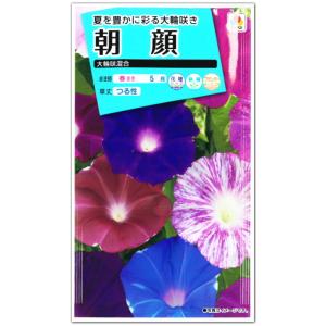 朝顔 種子 大輪咲混合 1.5ml（育苗可能本数：およそ10本)